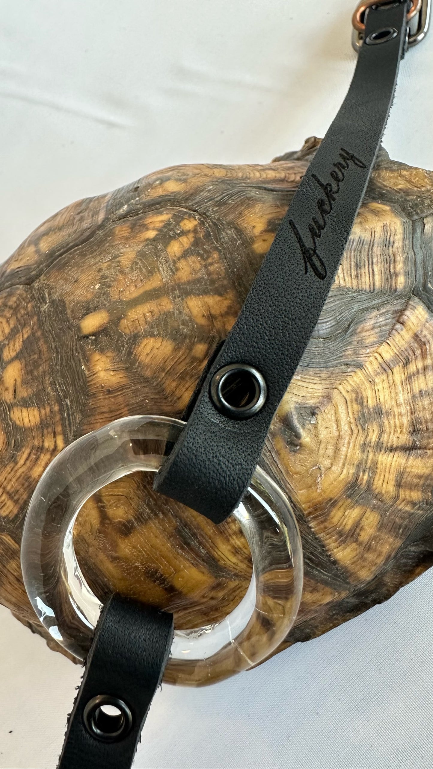 Glass Collar: 009