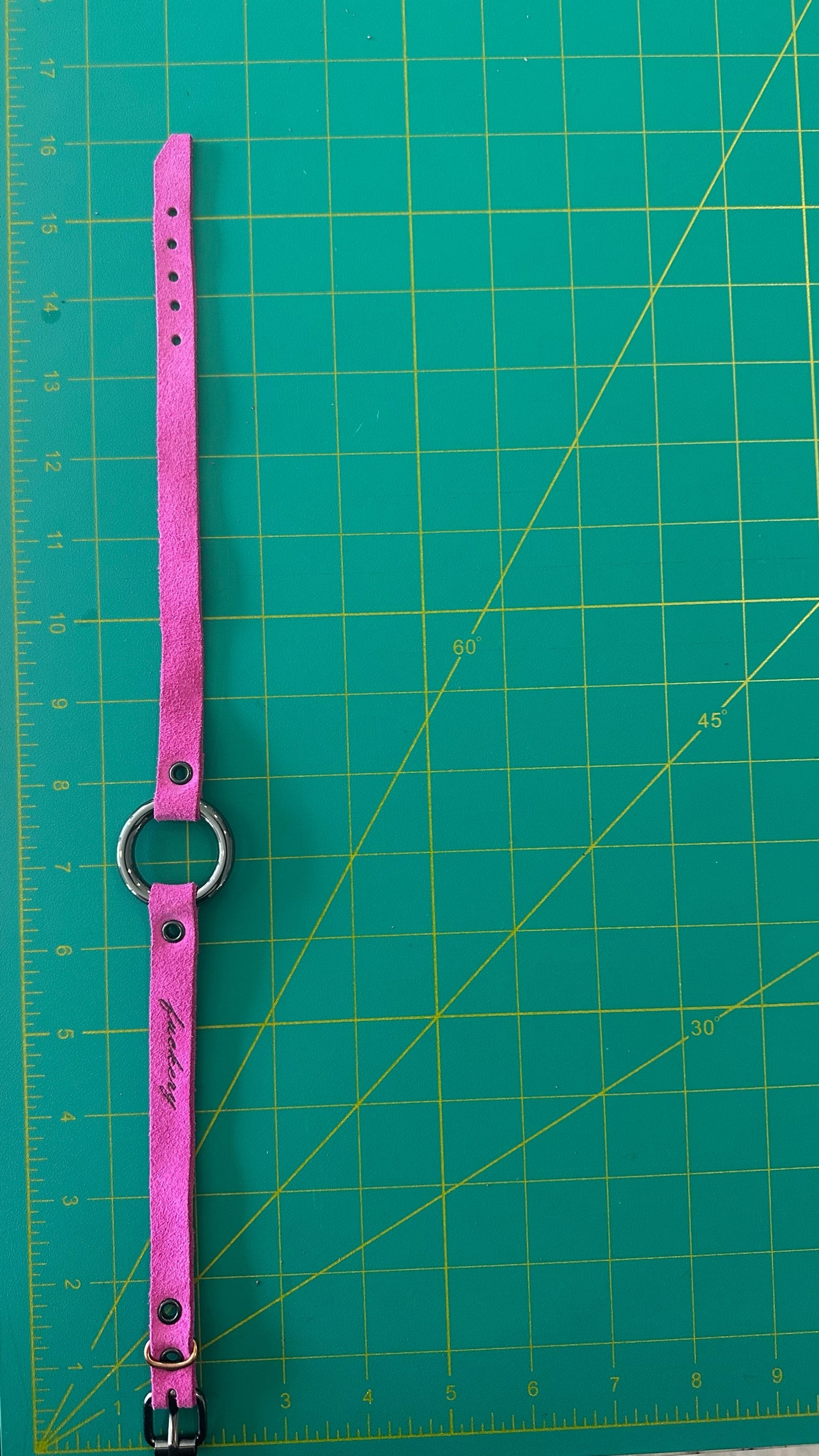 Metal Collar: 001