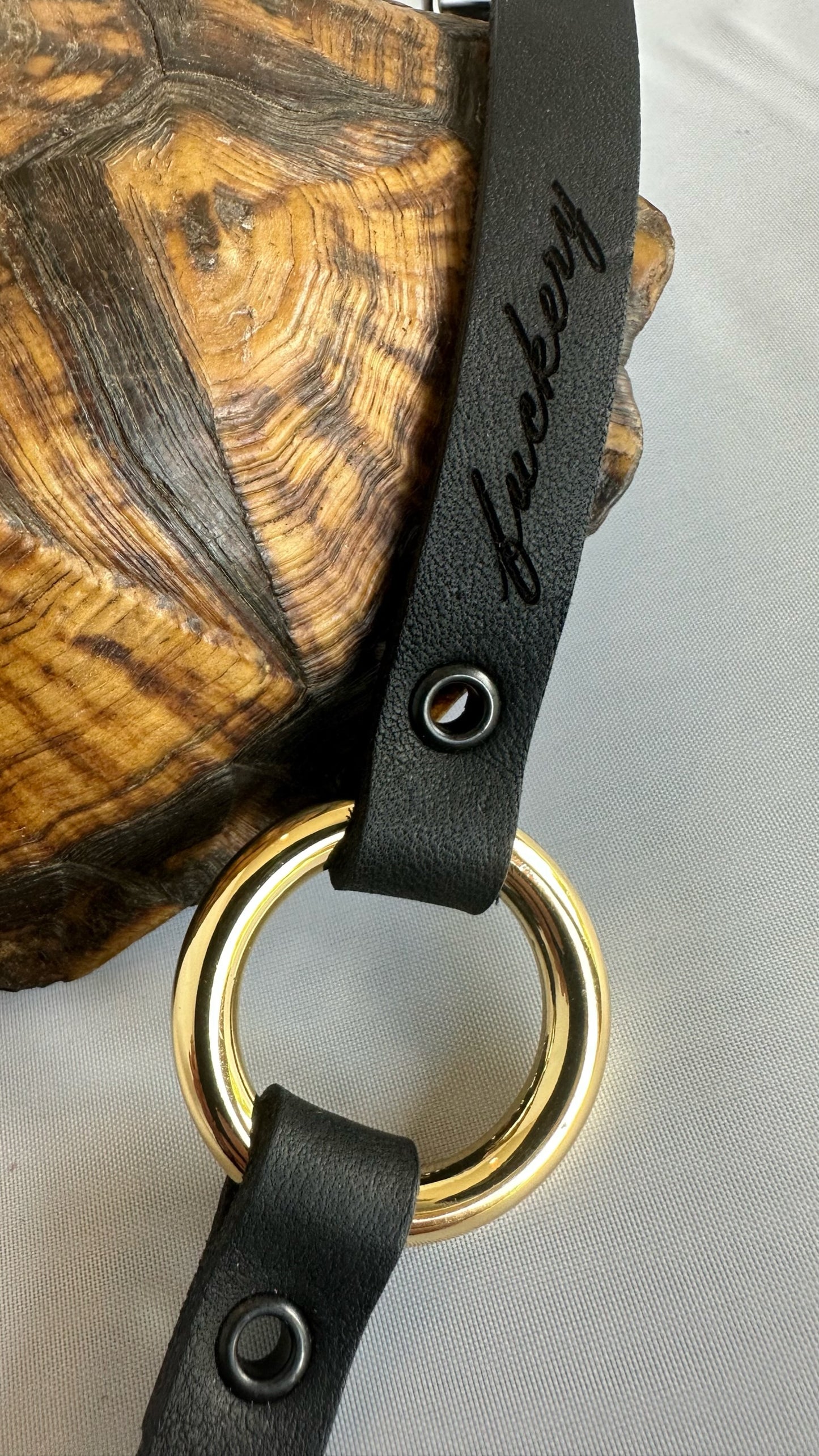 Metal Collar: 002