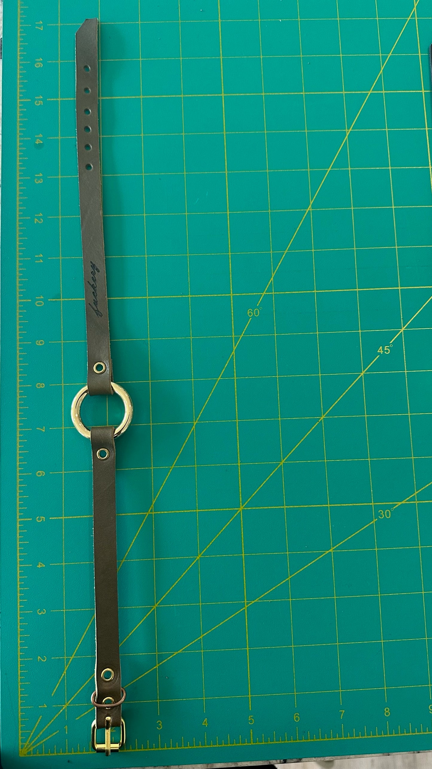Metal Collar: 003