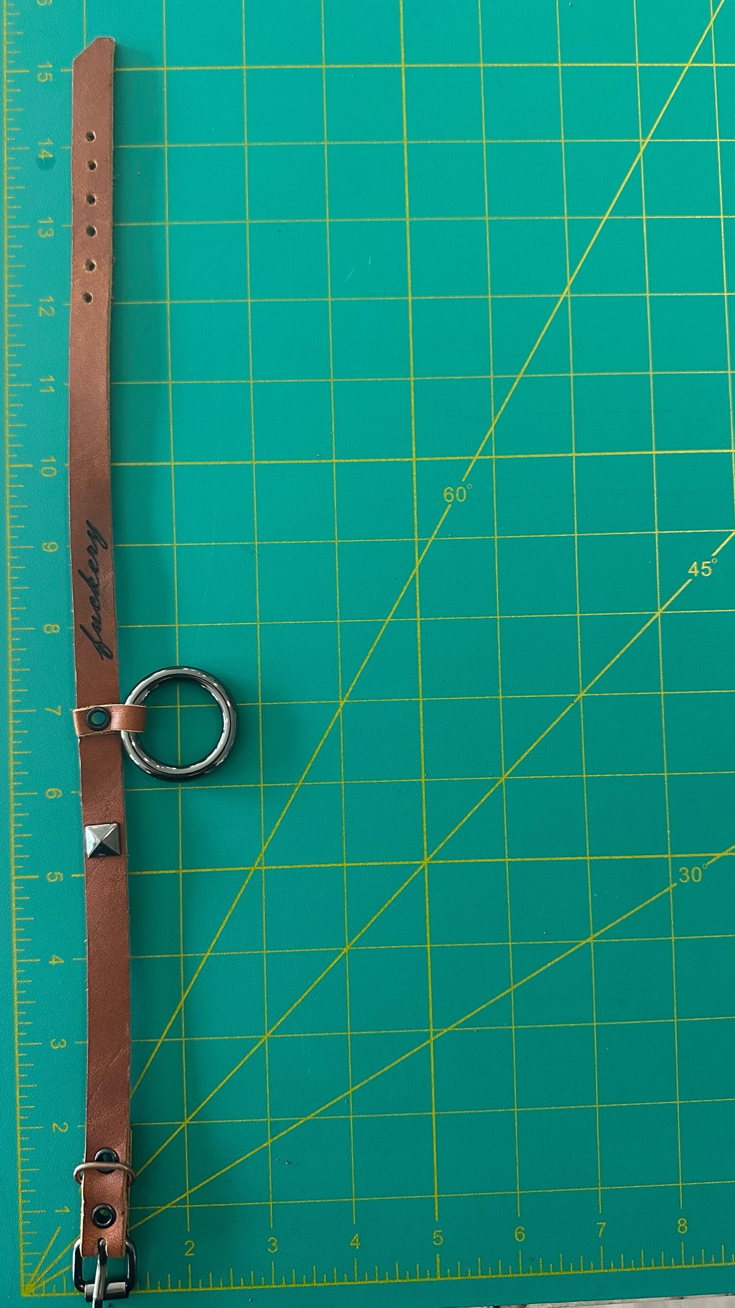 Metal Collar: 004