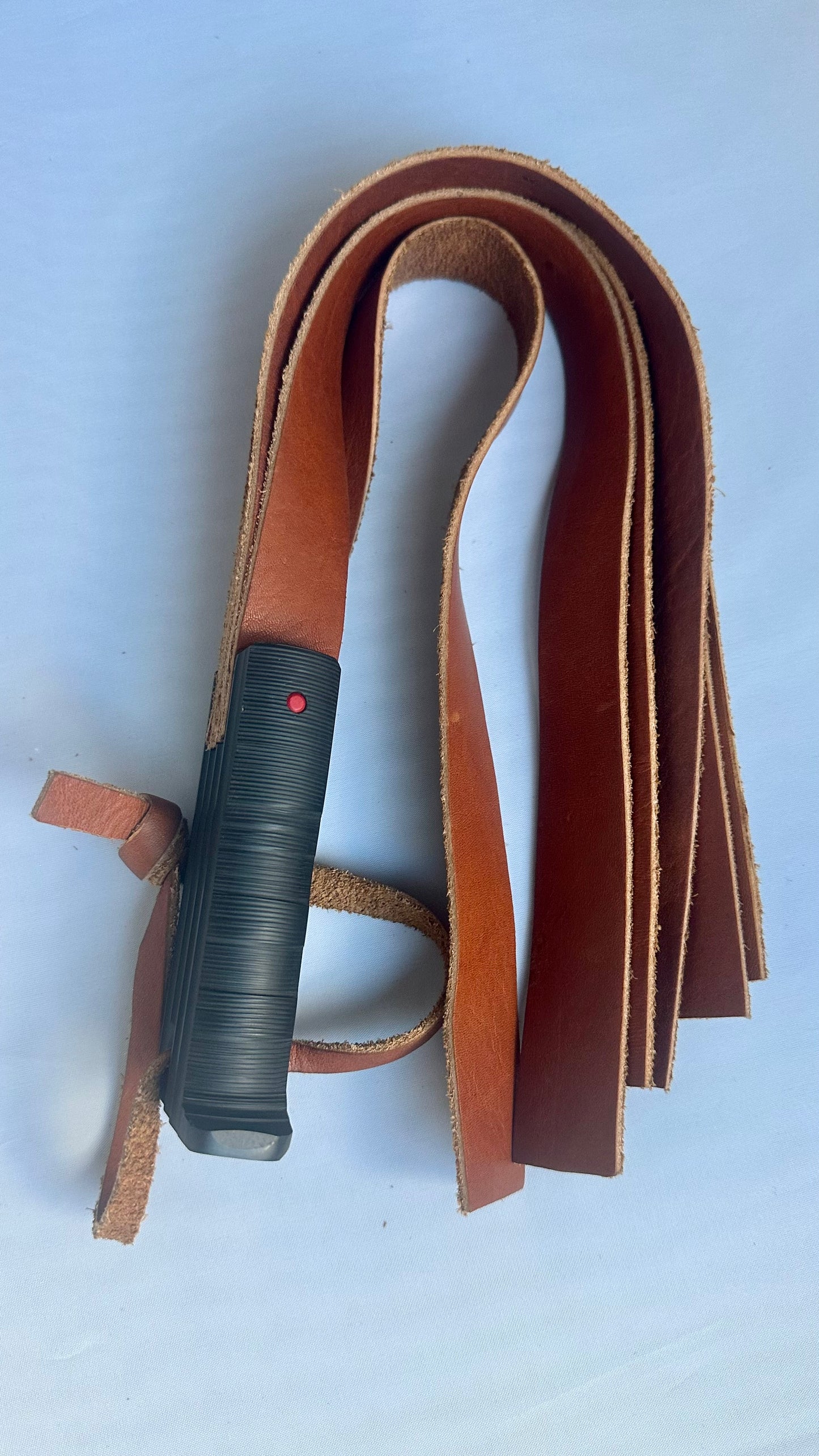 The Flogger 002