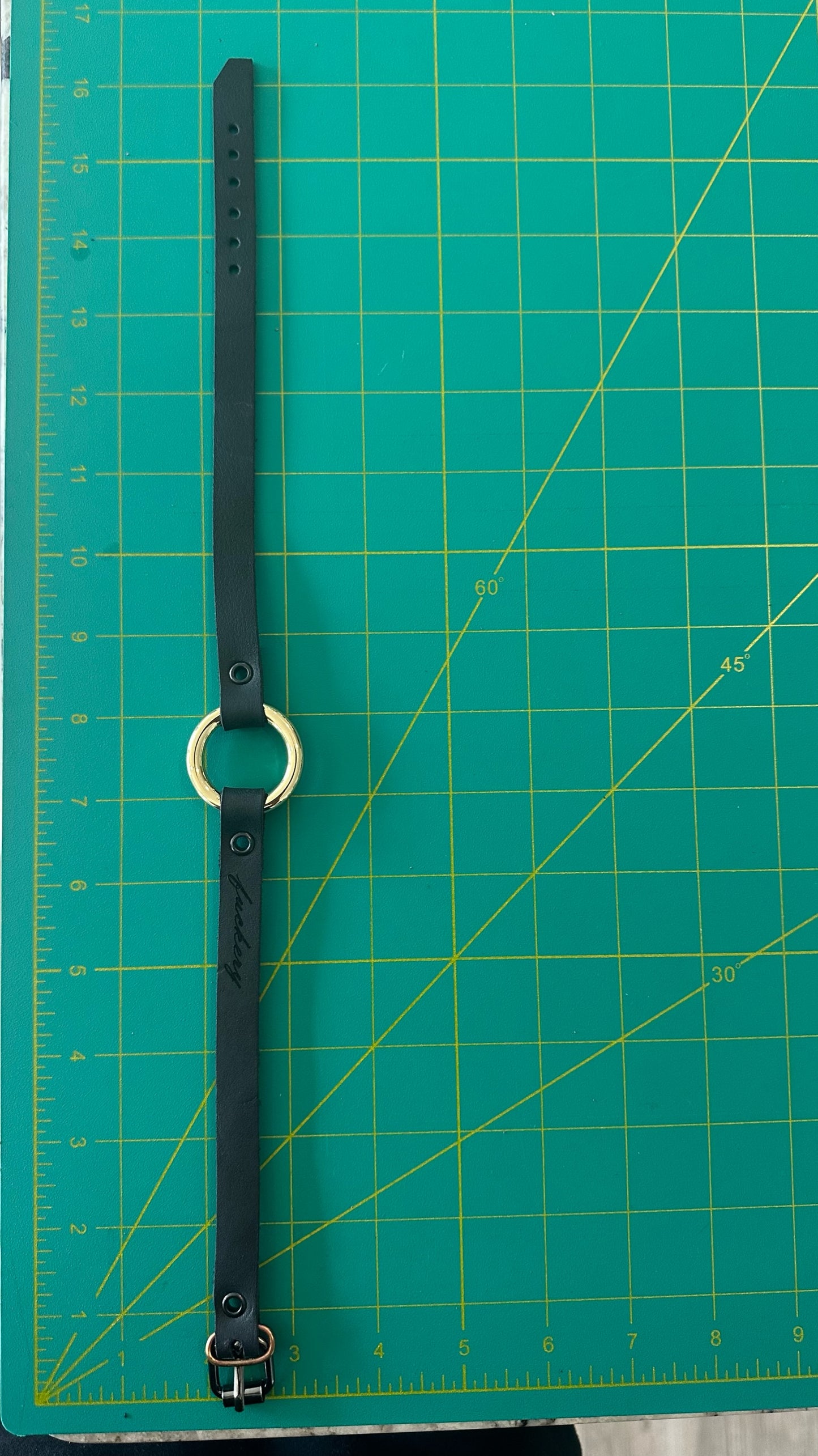 Metal Collar: 002